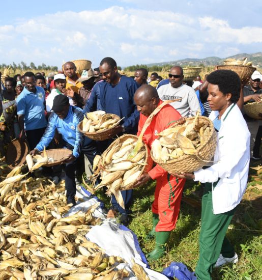 President Ndayishimiye calls for the increase of industries processing local products