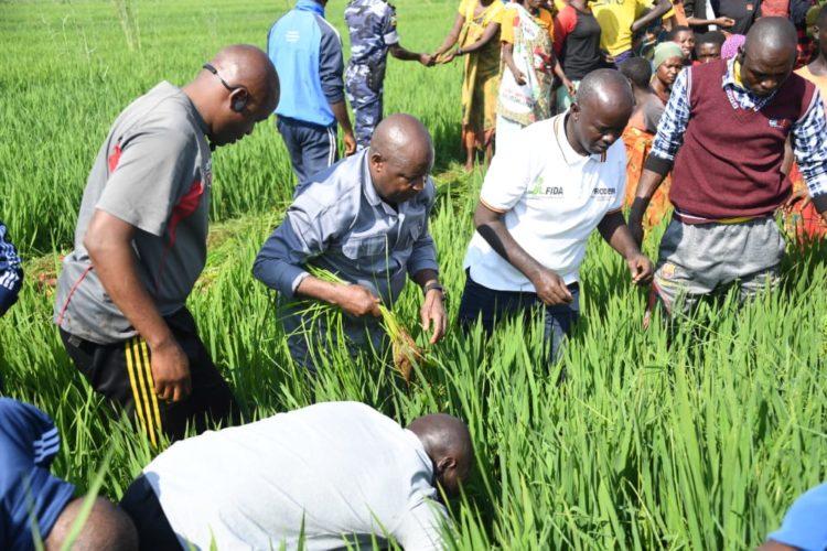En visite à Ngozi, le Chef de l’État a encouragé la population pour les projets de développement réalisés