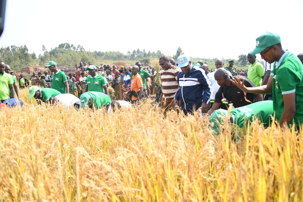 Le Chef de l’Etat exhorte les agriculteurs à travailler en coopératives pour accroître la production