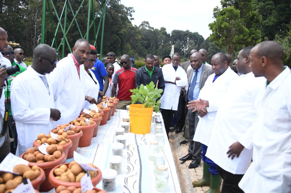 Le Chef de l’Etat appelle l’ISABU à associer le secteur privé dans la multiplication des semences sélectionnées pour accroître la production.