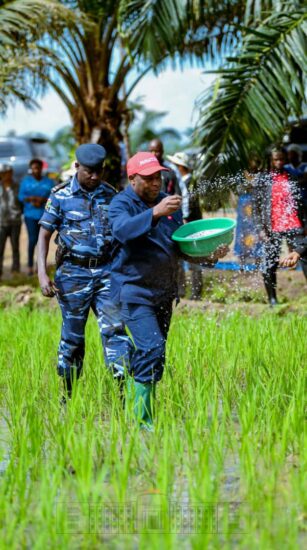Le Chef de l’Etat soutient l’introduction des nouvelles techniques qui visent la promotion de l’agriculture
