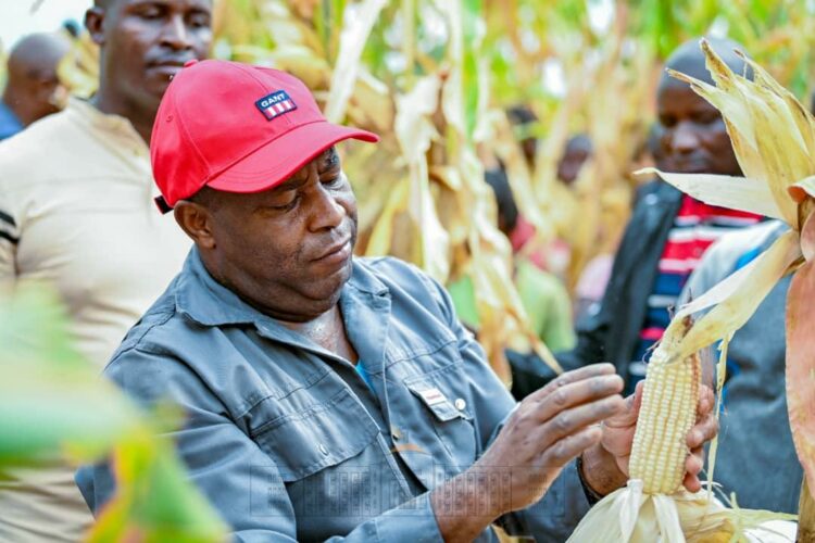 Le Président Ndayishimiye se joint à la population de Gatumba pour les travaux de développement communautaire
