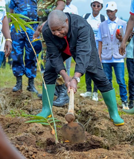 Le Président Ndayishimiye participe aux activités de la journée nationale de l’arbre.