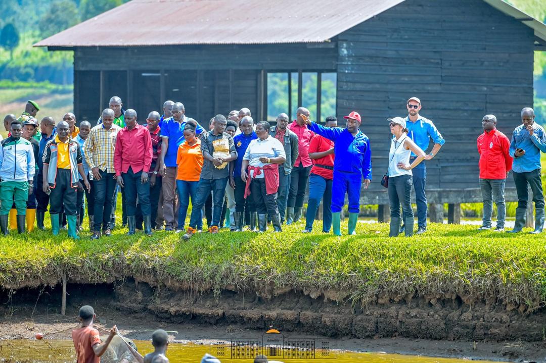 Le Chef de l’État partage le plaisir des succès des initiatives agro-pastorales avec l’Ambassadrice américaine au Burundi